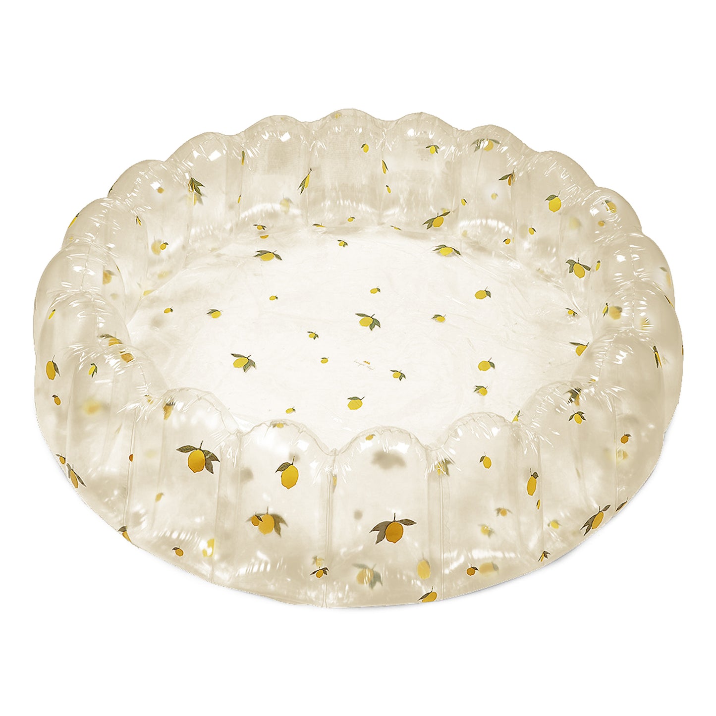 Alberca grande de Limones