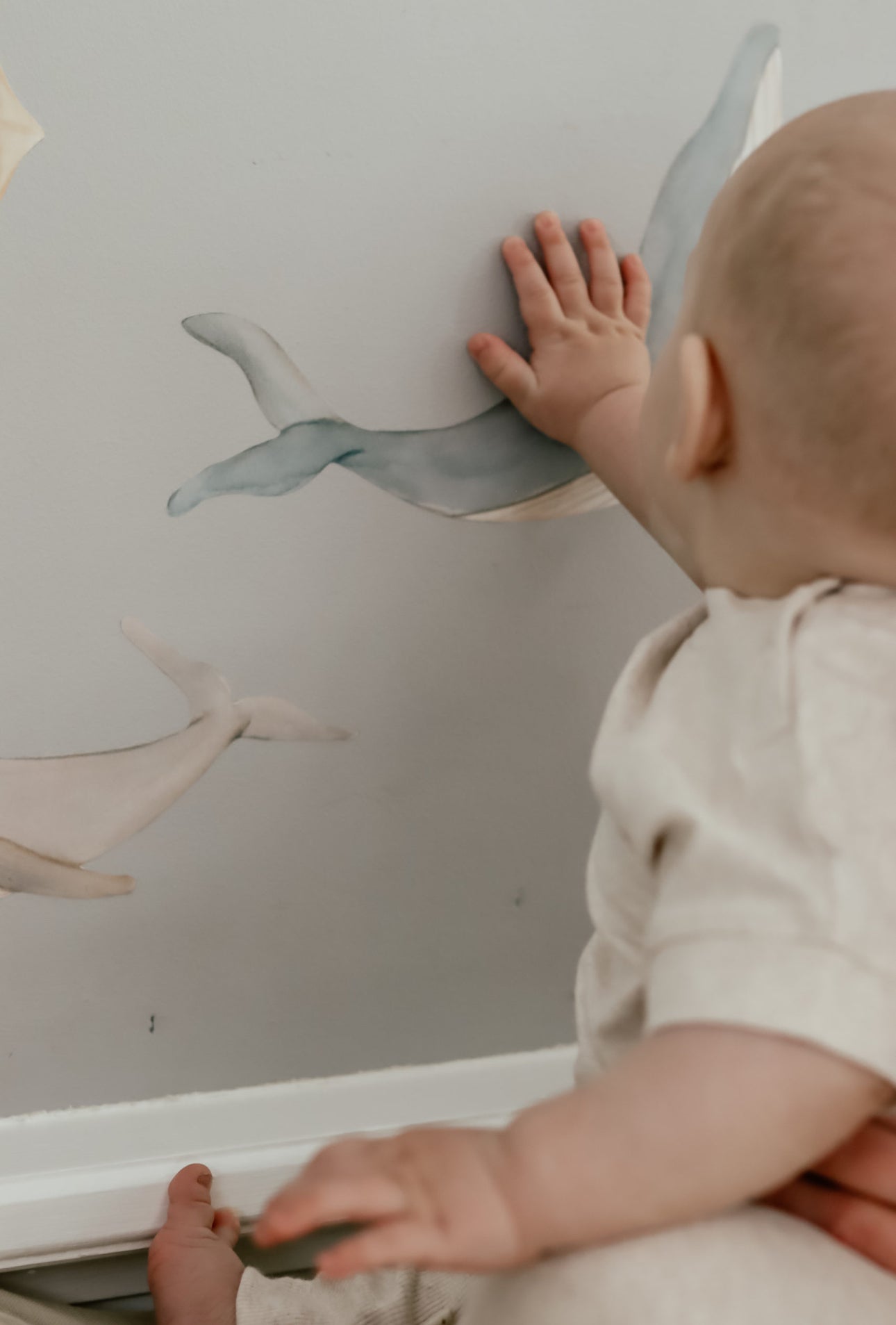 Stickers de pared ballenas