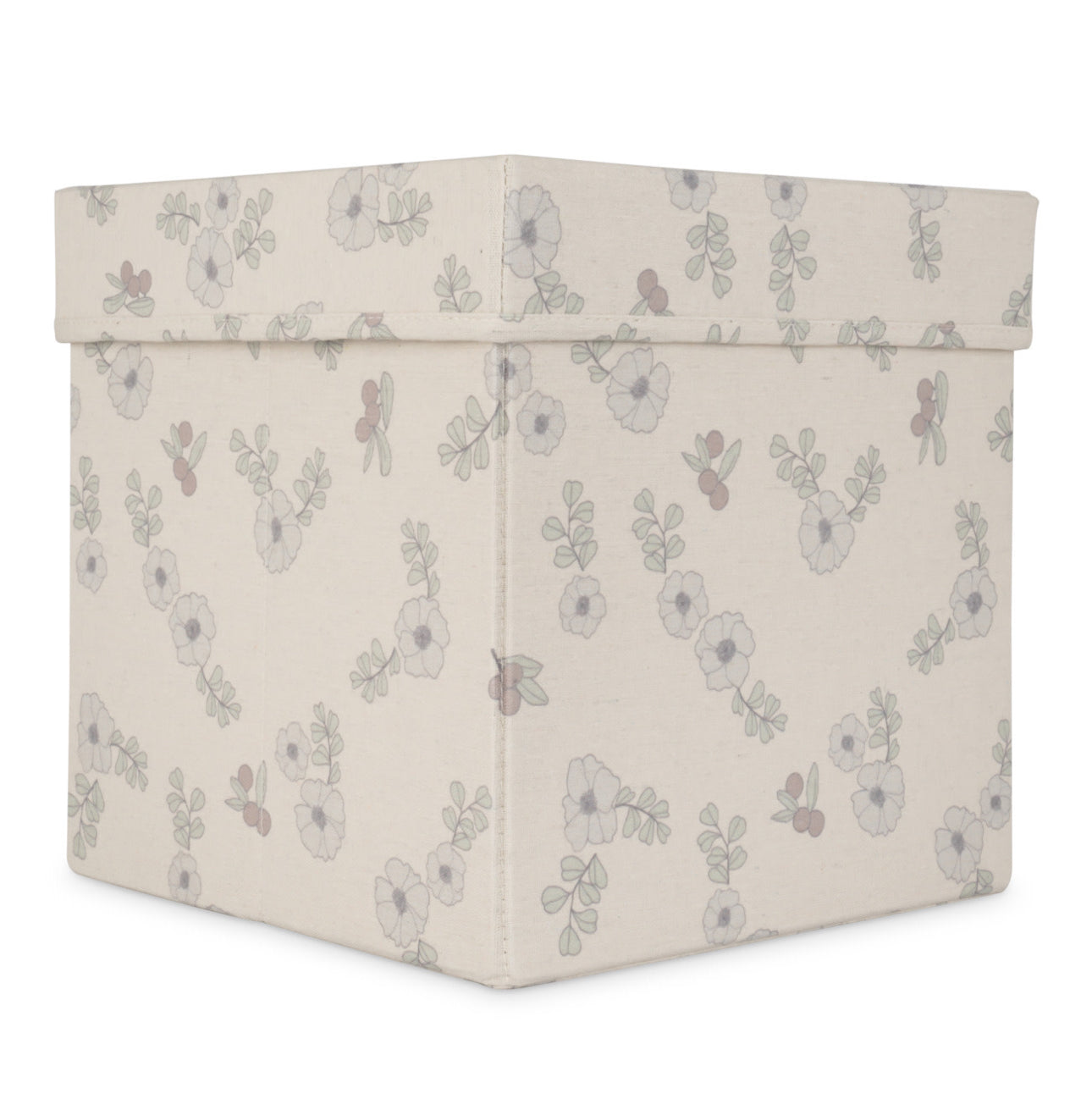 Caja Grande